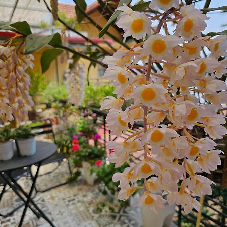 Dang Khoa Garden Inn Homestay ซาปา ภายนอก รูปภาพ