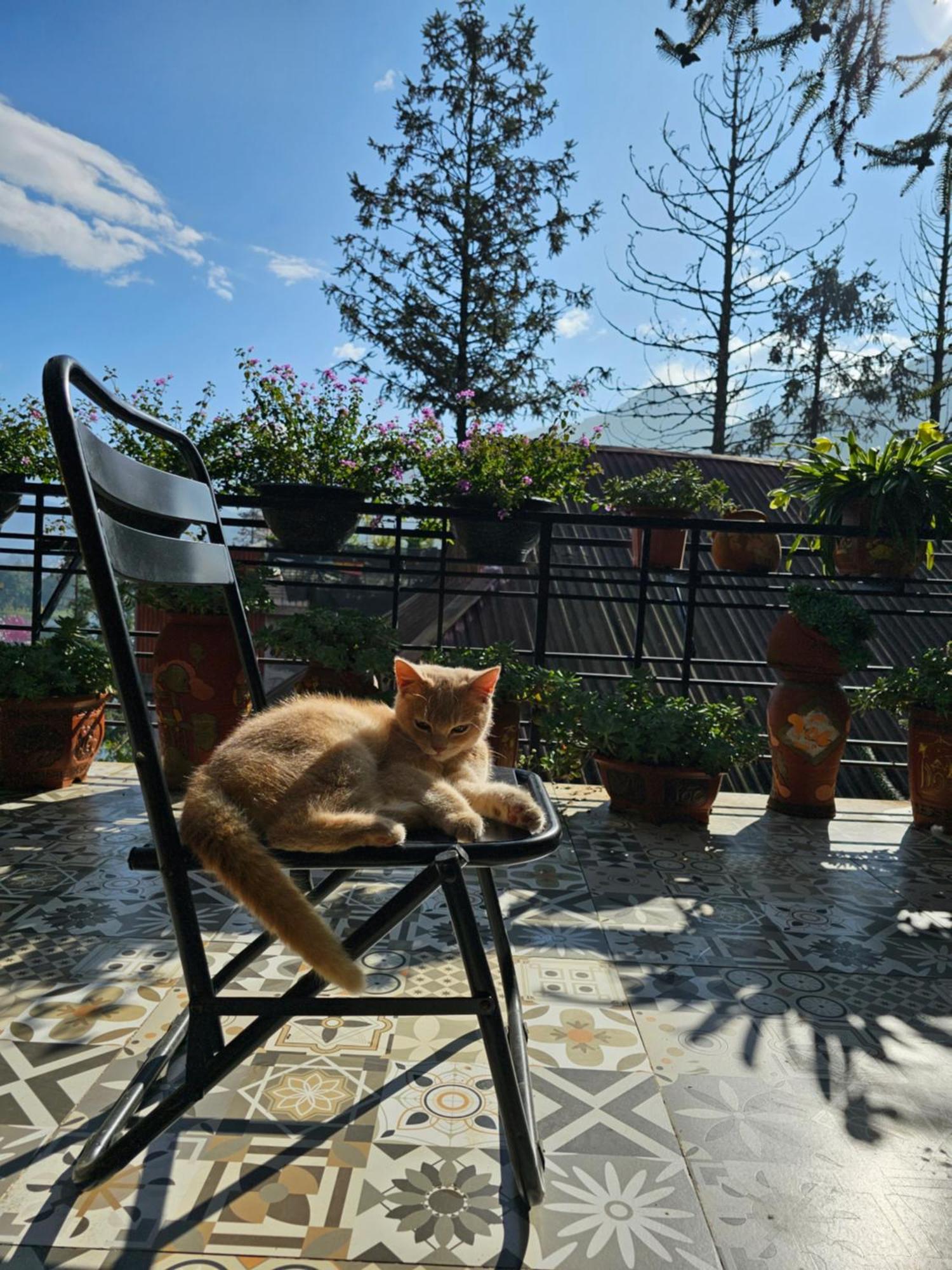 Dang Khoa Garden Inn Homestay ซาปา ภายนอก รูปภาพ