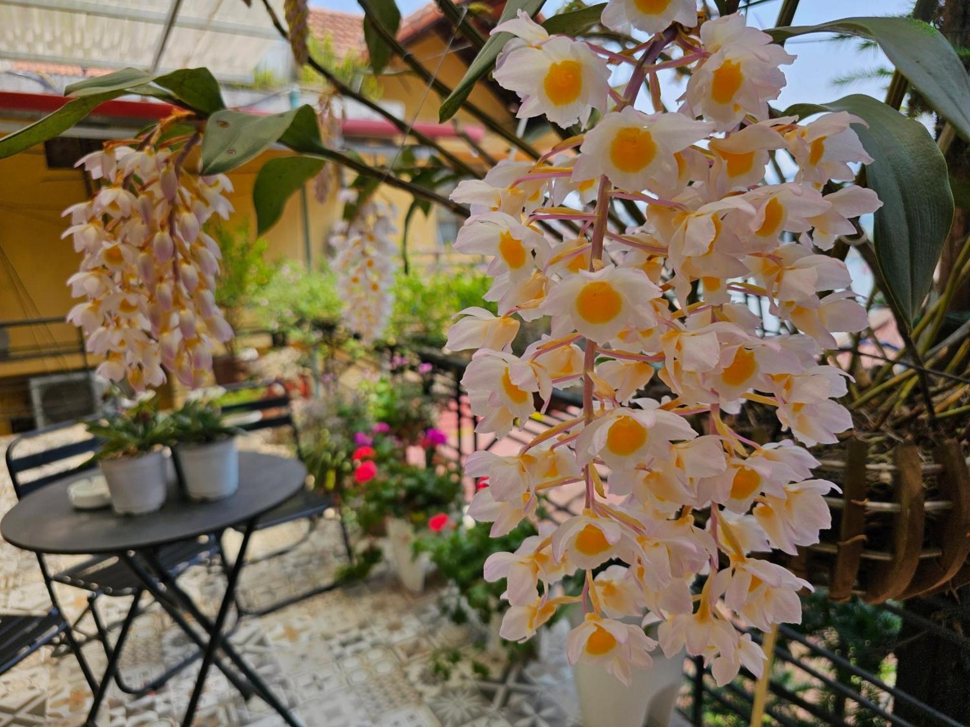 Dang Khoa Garden Inn Homestay ซาปา ภายนอก รูปภาพ