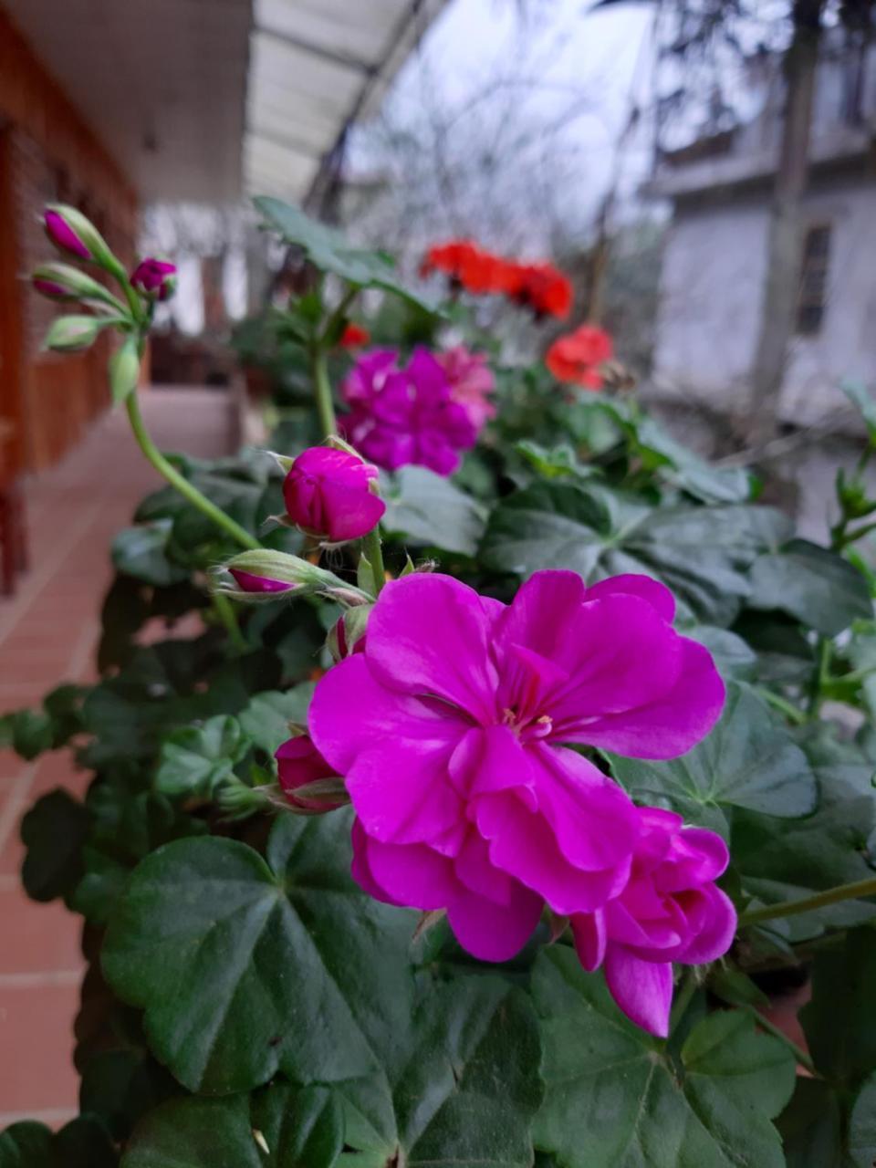 Dang Khoa Garden Inn Homestay ซาปา ภายนอก รูปภาพ