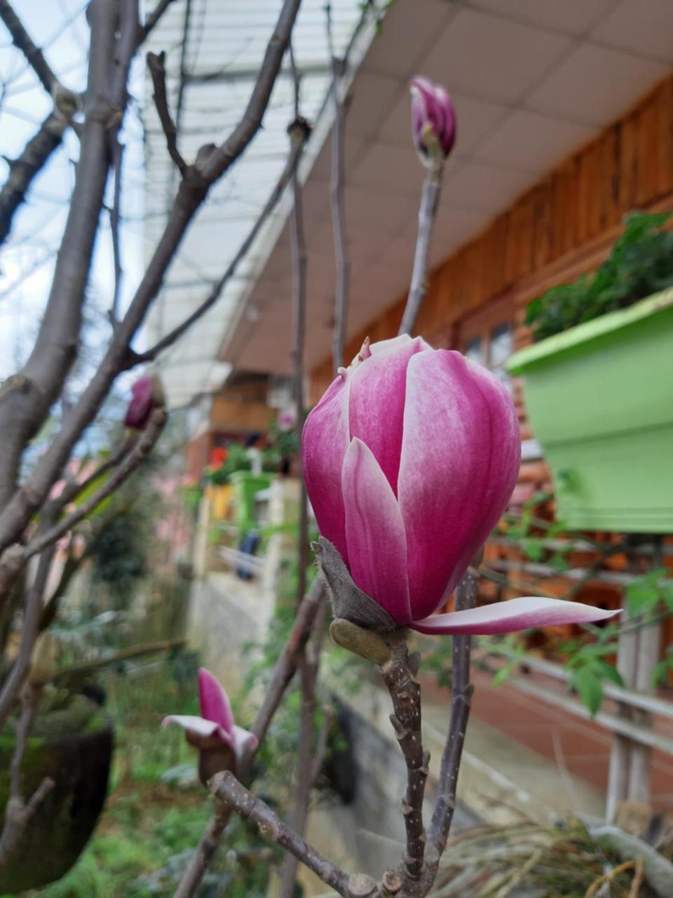Dang Khoa Garden Inn Homestay ซาปา ภายนอก รูปภาพ